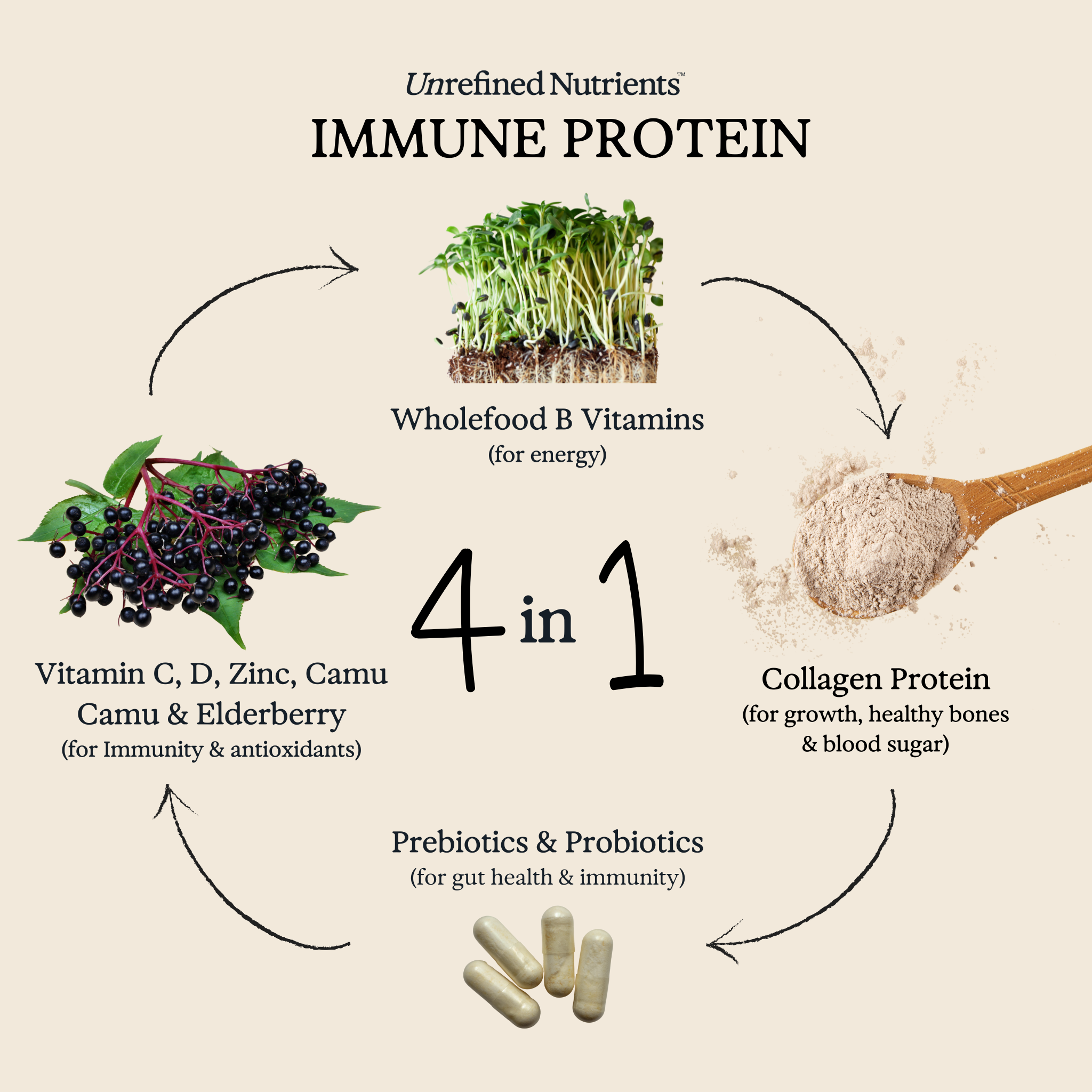Immune Protein - Strawberry Fort (Pre-Order for End Oct)
