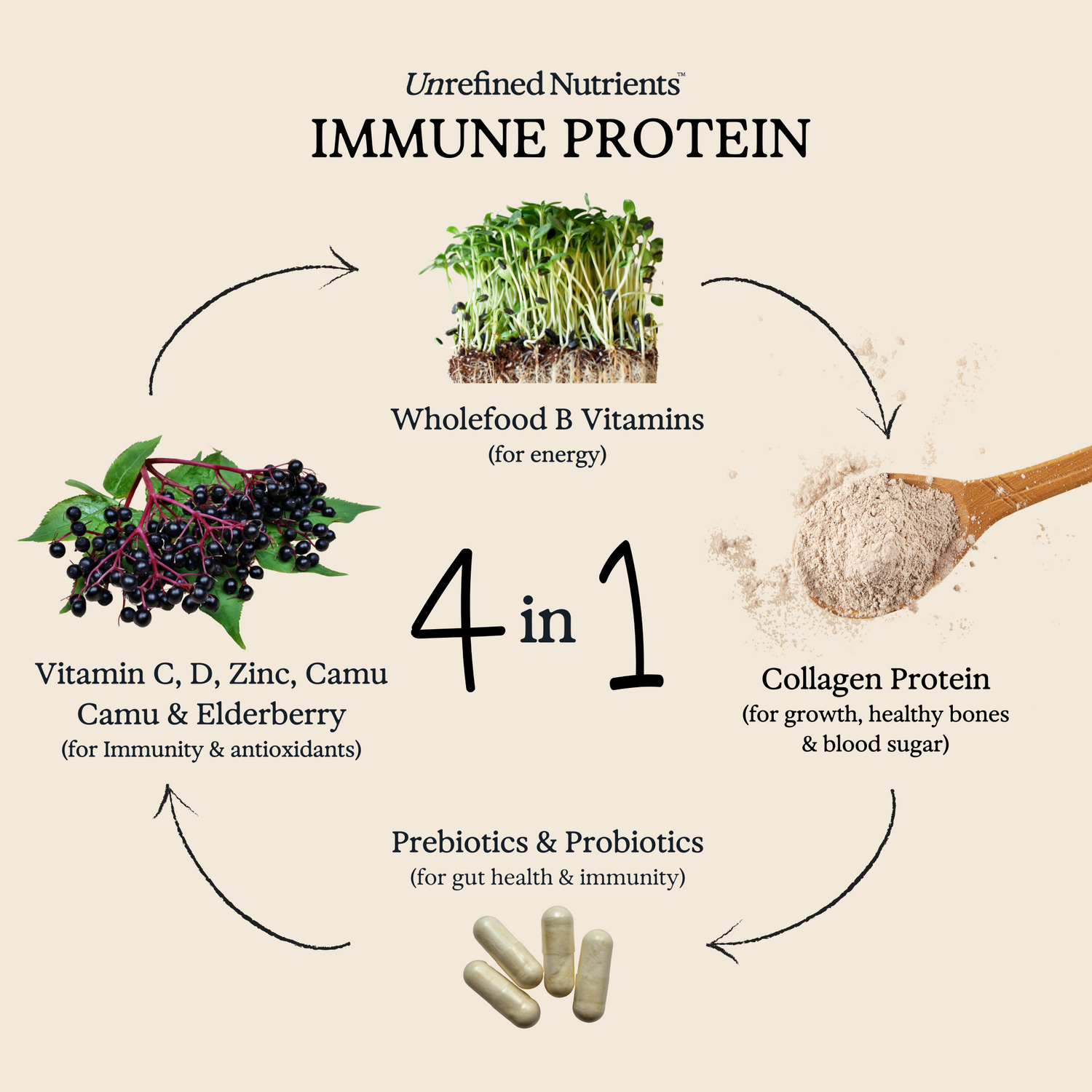 Immune Protein - Cacao Cavalry (Pre-Order for November)