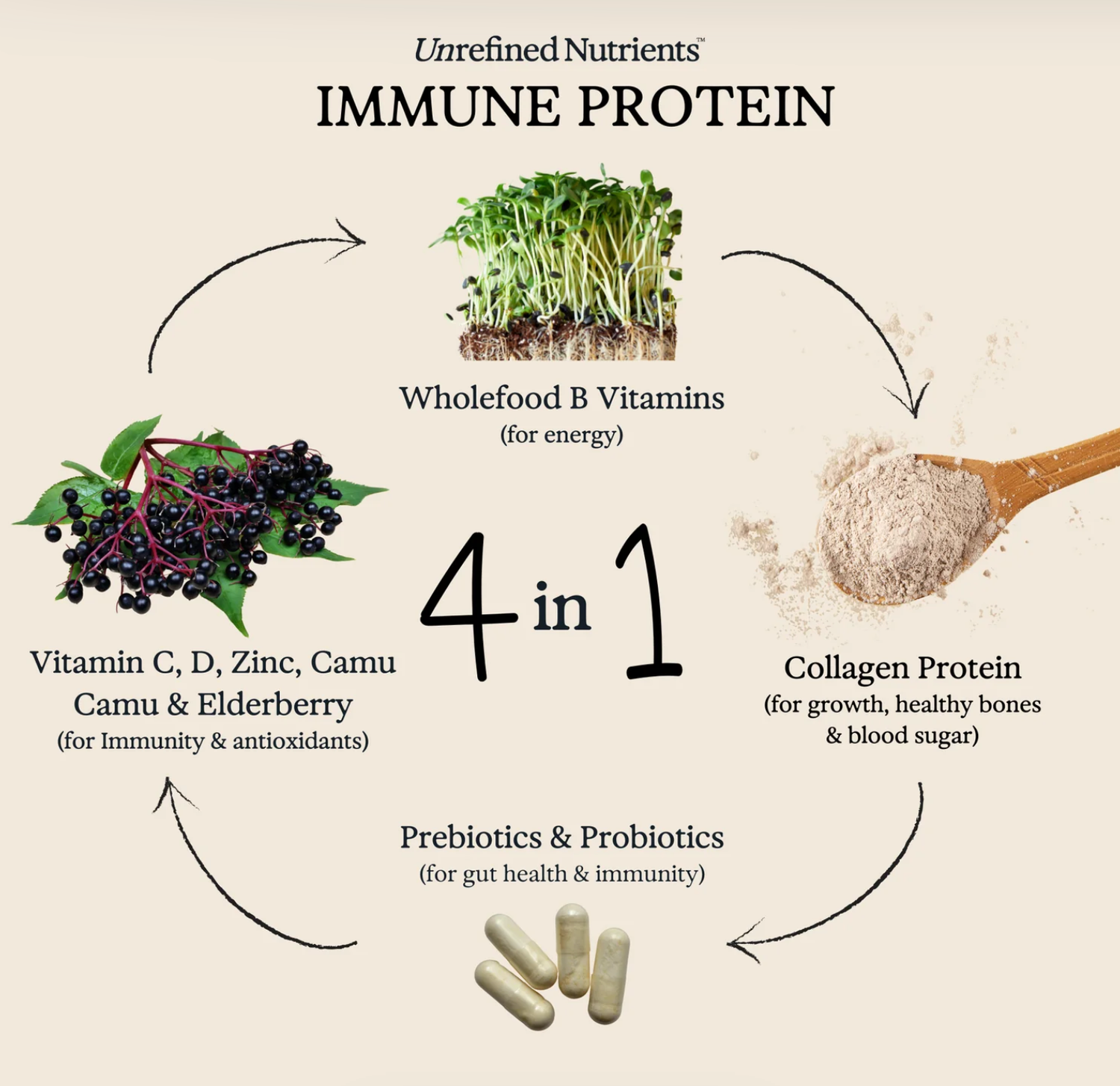 Immune Protein - Vanilla Vanguard (Pre-Order for November)