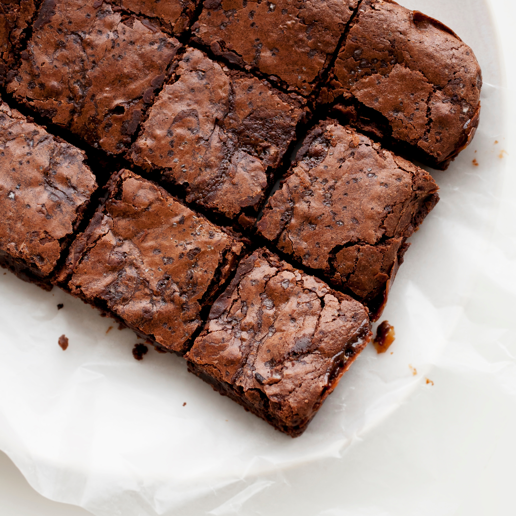 Immune Protein + Whisk Bundle
